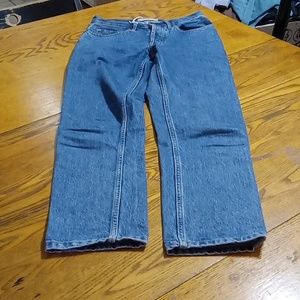 EVERLANE Women Jeans DENIM Pants New BLUE Casual Work THE ORIGINAL CHEEKY 24